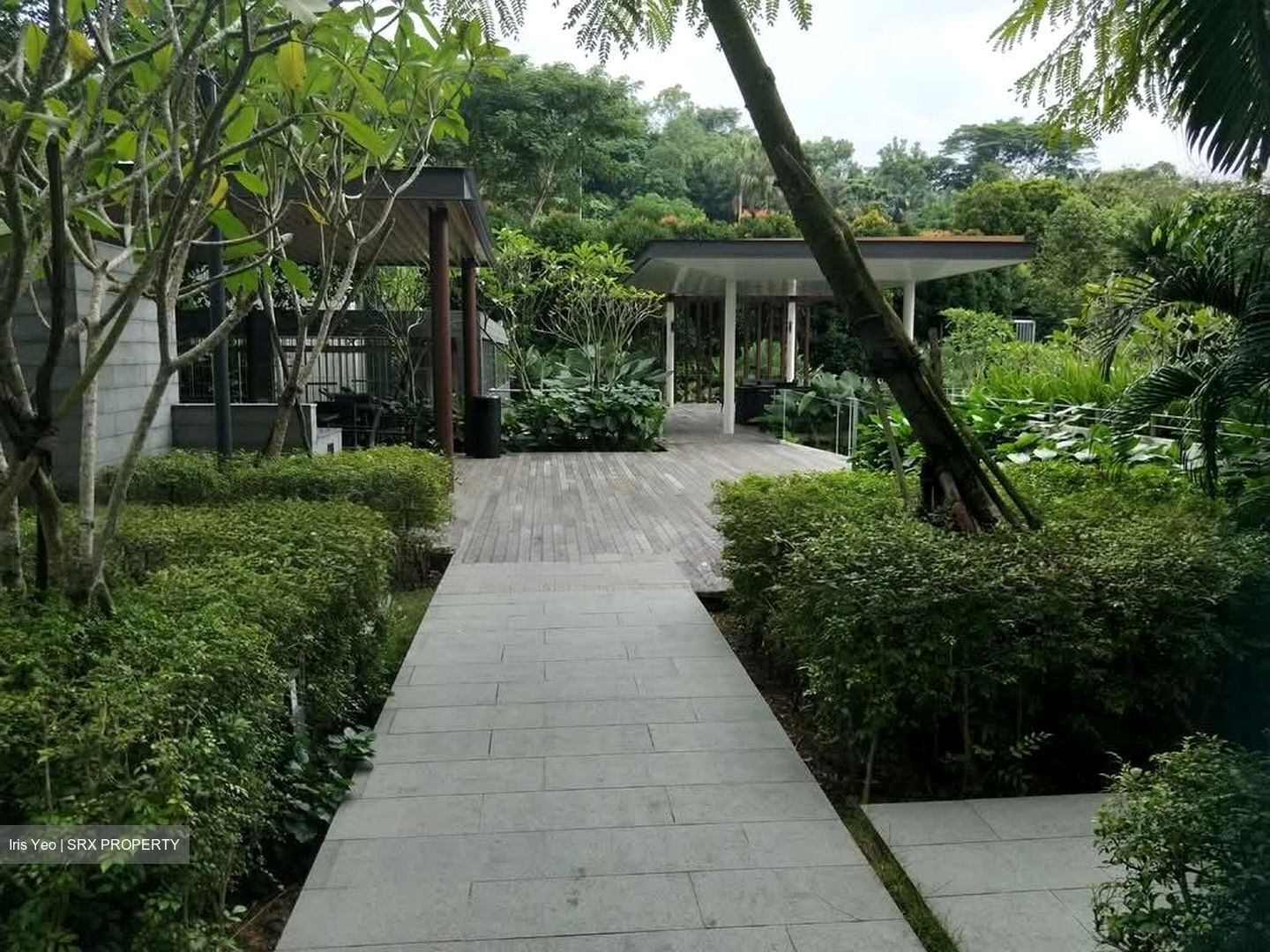 The Skywoods (D23), Condominium #555161861